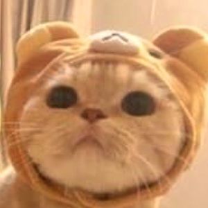 Meet your Posher, Beatriz